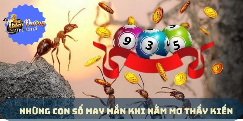 Giải Đáp Nằm Mơ Thấy Kiến Lành Nhiều, Dữ Ít Chuẩn Năm 2024