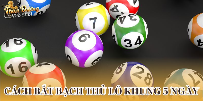 Cách bắt bạch thủ lô khung 5 ngày